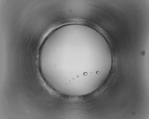 X0000113161099200909251346