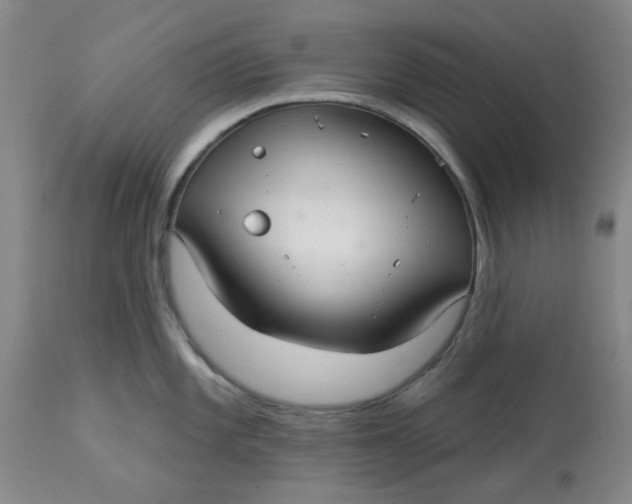 X0000113161101200909251346