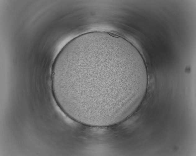 X0000113161103200909251346