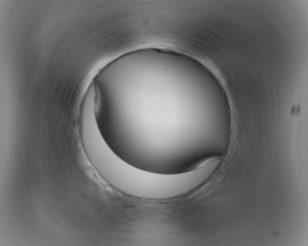 X0000113161104200909251346