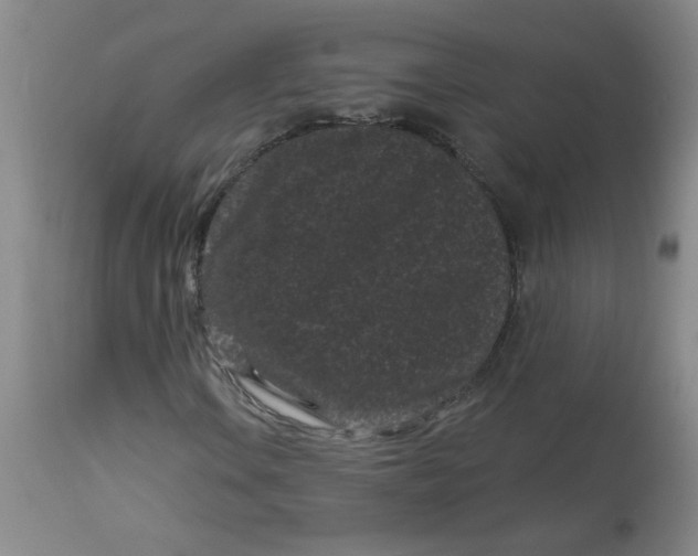 X0000113161106200909251345