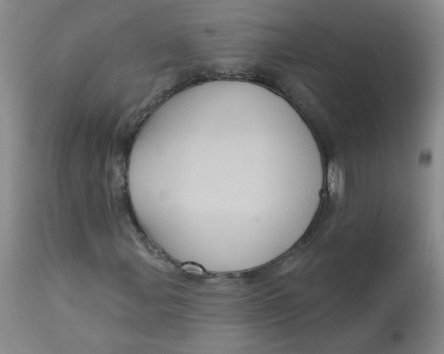 X0000113161107200909251345