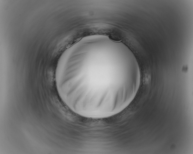 X0000113161108200909251345