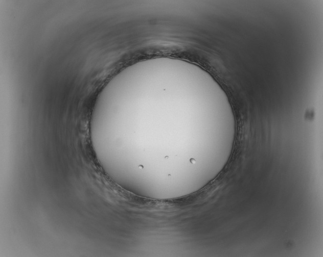 X0000113161109200909251345