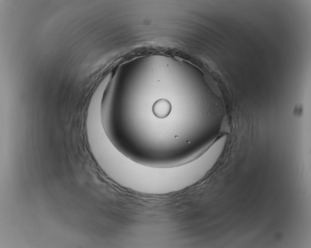 X0000113161110200909251345