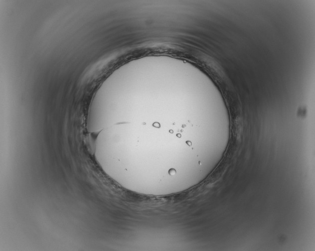 X0000113161111200909251345