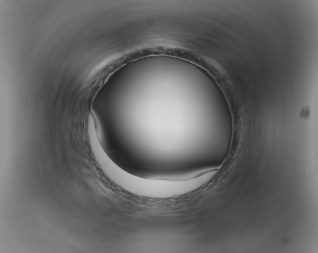 X0000113161112200909251345