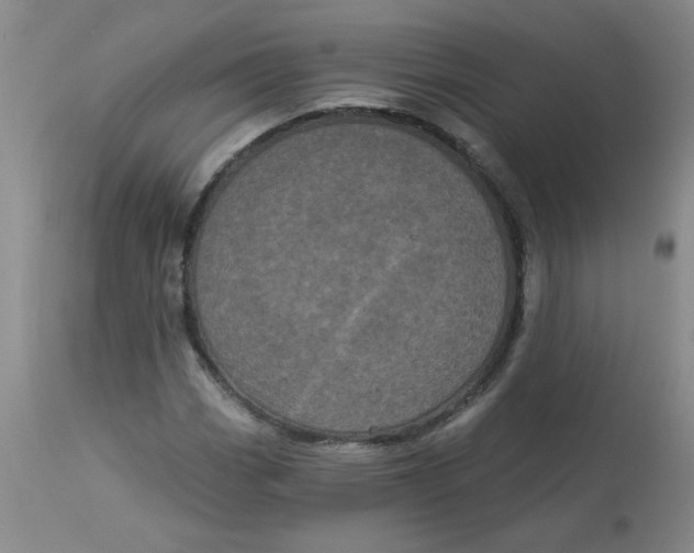 X0000113161113200909251345