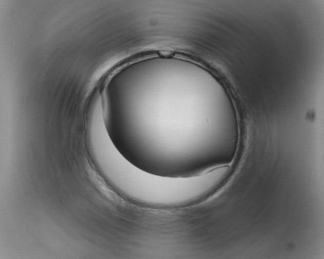 X0000113161114200909251345