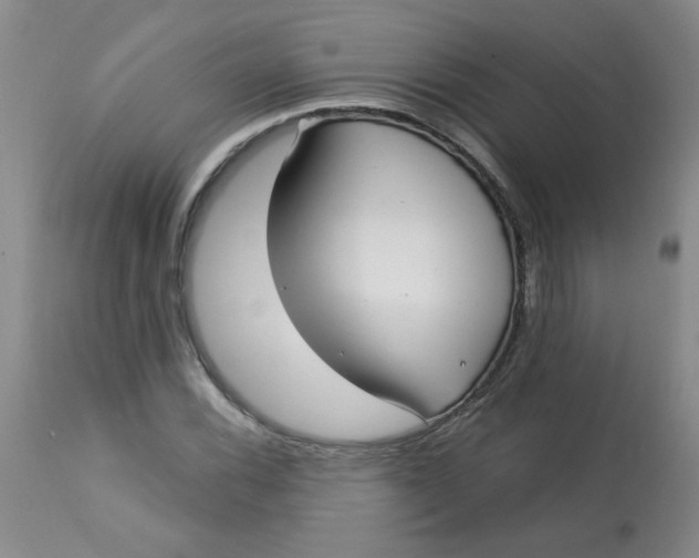 X0000113161116200909251345