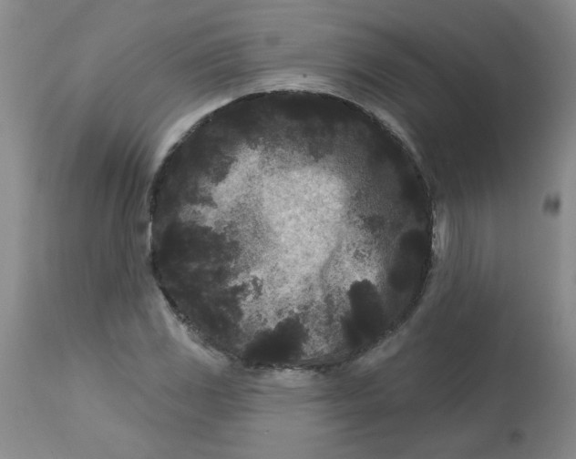 X0000113161117200909251345