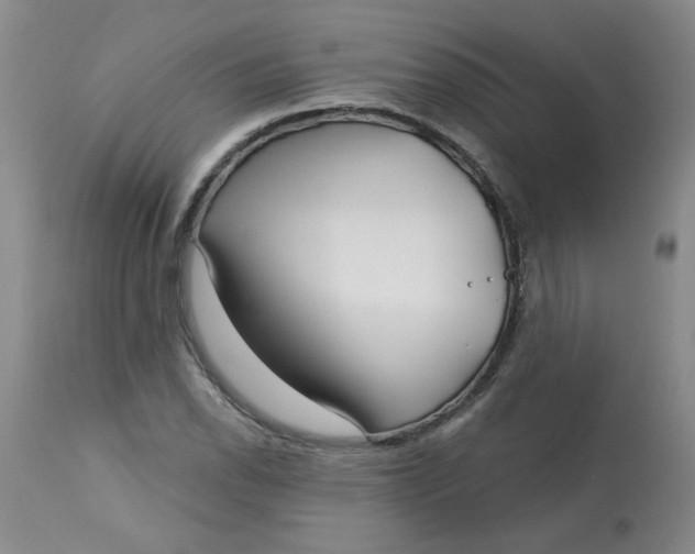 X0000113161118200909251345