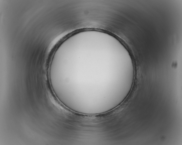 X0000113161120200909251345