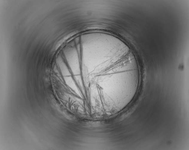 X0000113161121200909251345