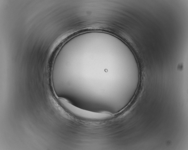 X0000113161122200909251345