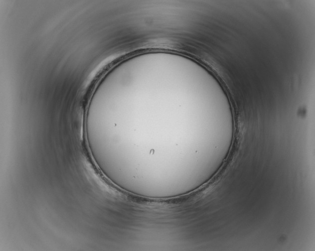 X0000113161123200909251345