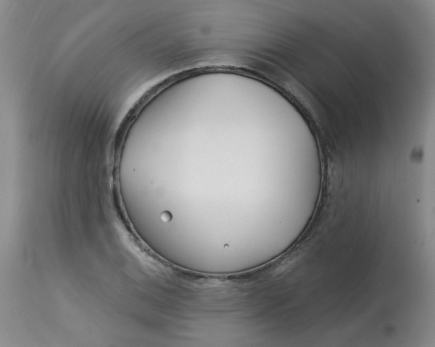 X0000113161124200909251345