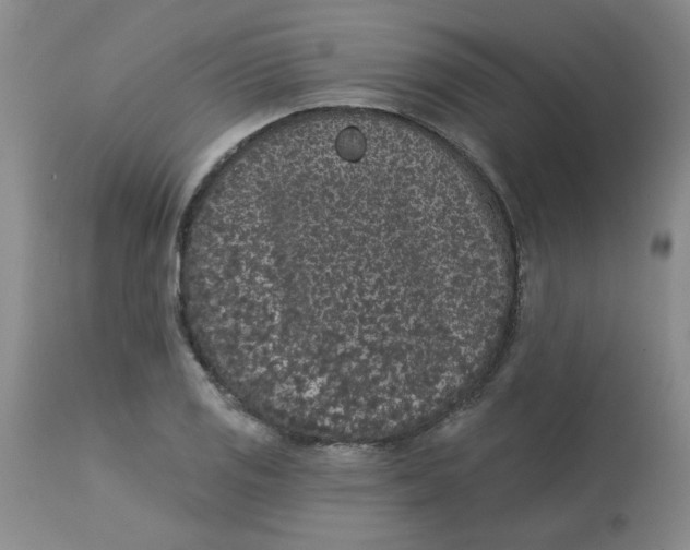 X0000113161125200909251345