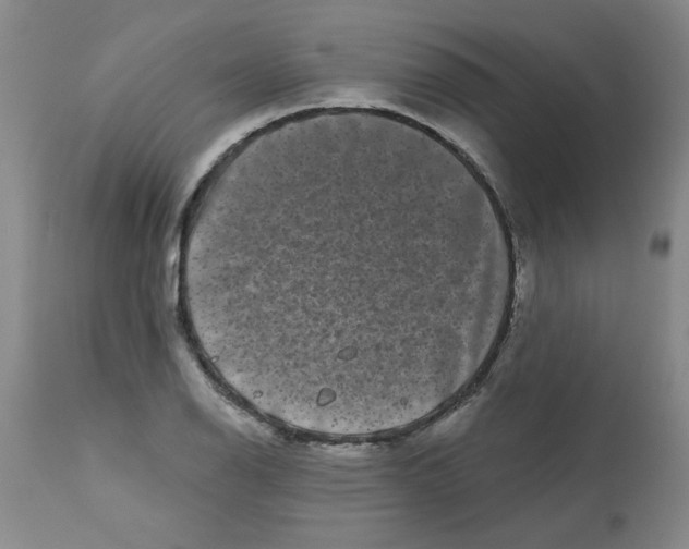 X0000113161126200909251345