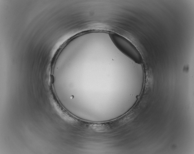 X0000113161128200909251345