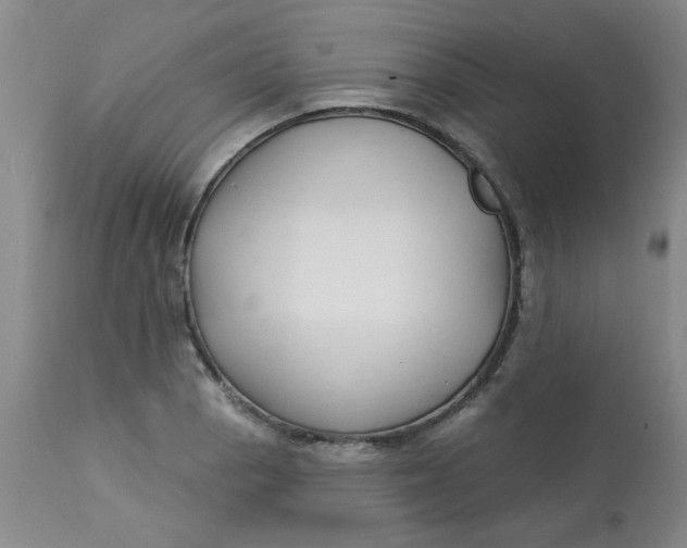 X0000113161129200909251345