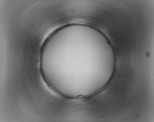 X0000113161131200909251345