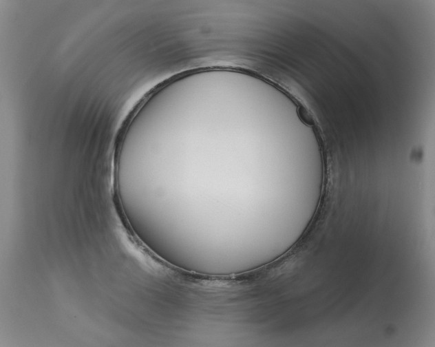 X0000113161132200909251345