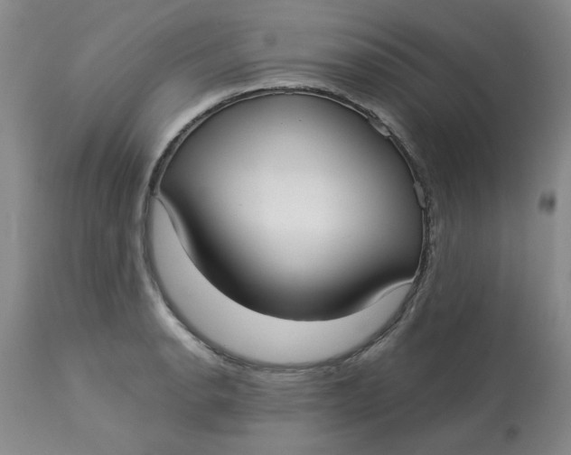 X0000113161134200909251345