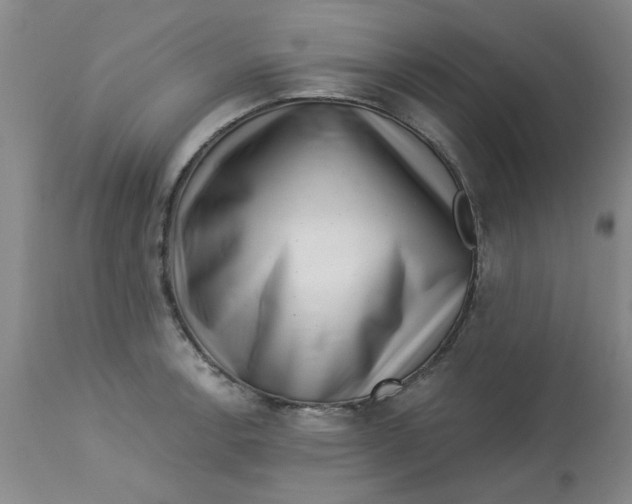 X0000113161138200909251345