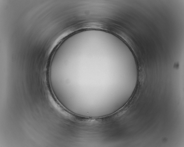 X0000113161139200909251345