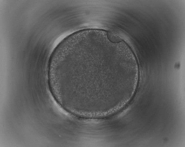 X0000113161141200909251345