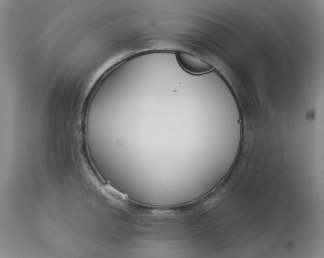 X0000113161142200909251345