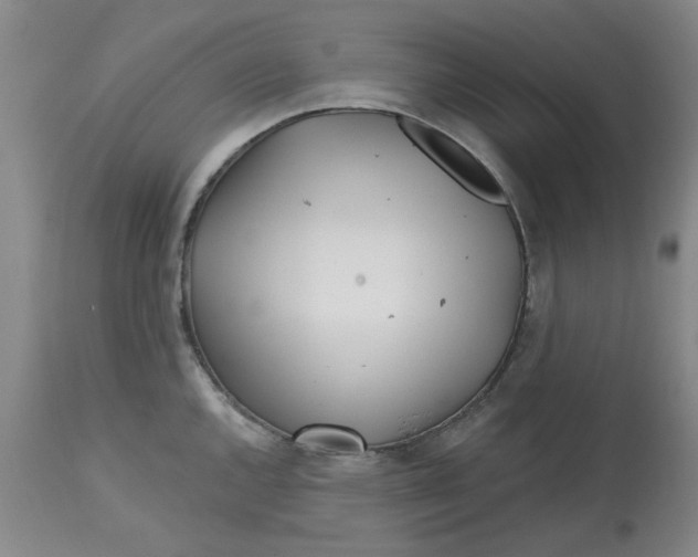 X0000113161144200909251345