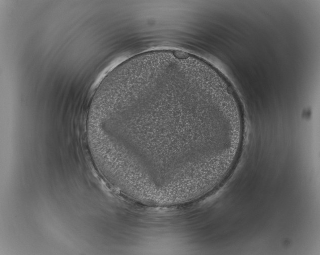 X0000113161145200909251346