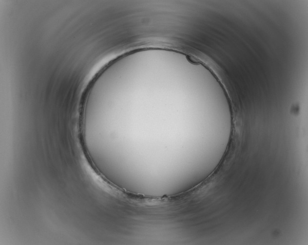 X0000113161147200909251346