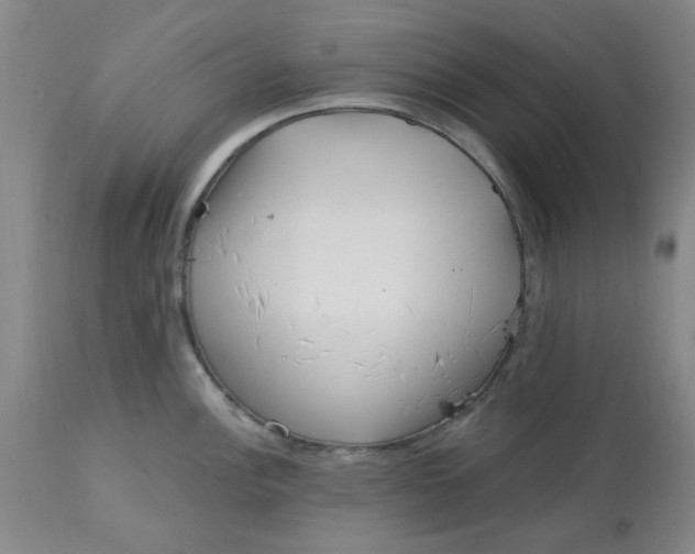 X0000113161148200909251346