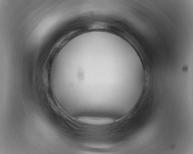 X0000113161151200909251346