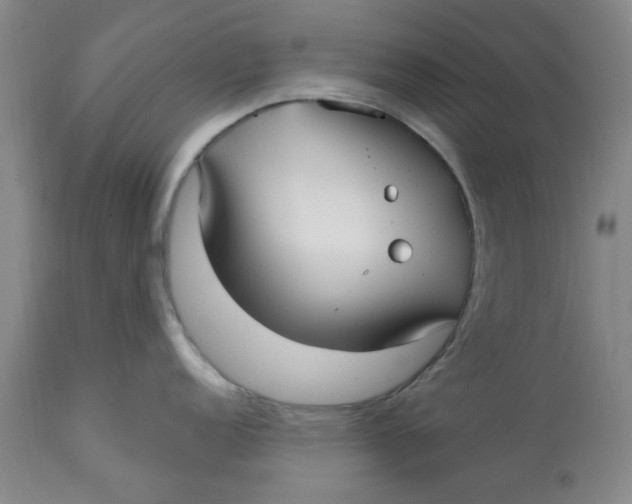 X0000113161152200909251346