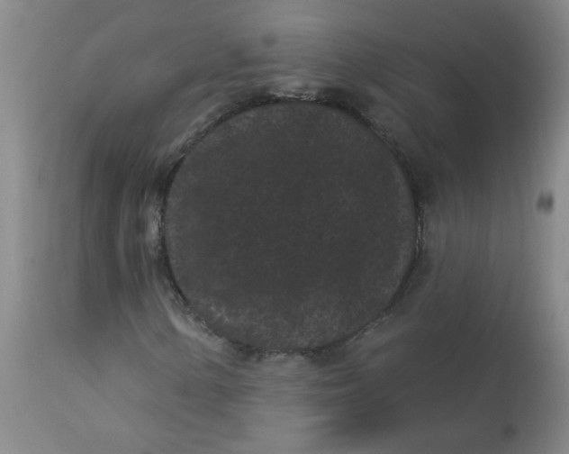 X0000113161154200909251345