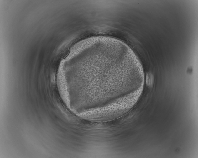 X0000113161155200909251345