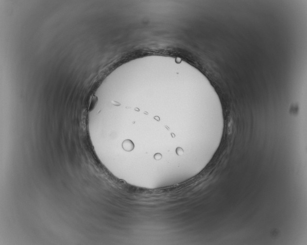 X0000113161156200909251345