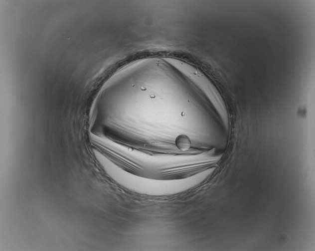 X0000113161157200909251345