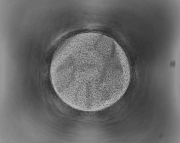 X0000113161158200909251345