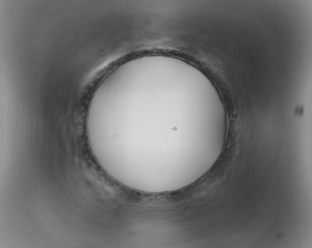 X0000113161159200909251345