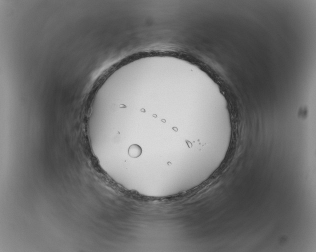 X0000113161160200909251345