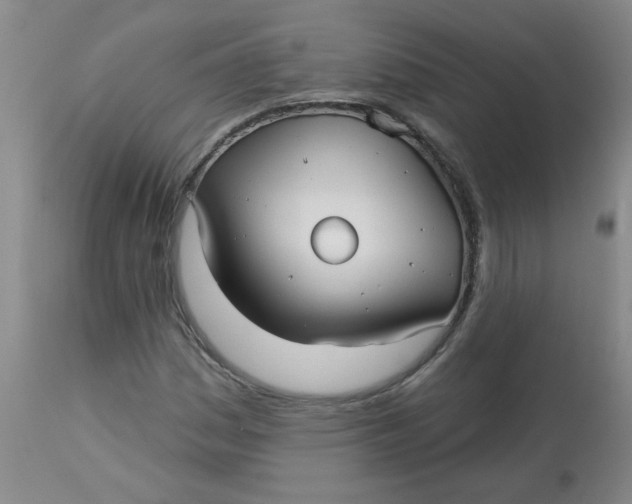 X0000113161161200909251345