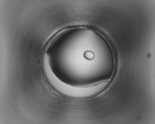 X0000113161162200909251345