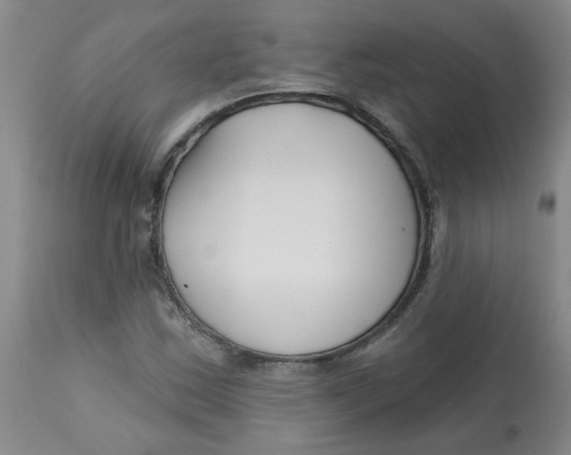 X0000113161163200909251345