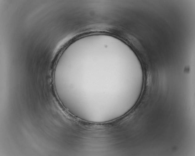 X0000113161164200909251345