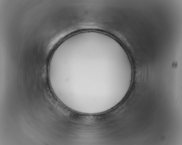 X0000113161167200909251344